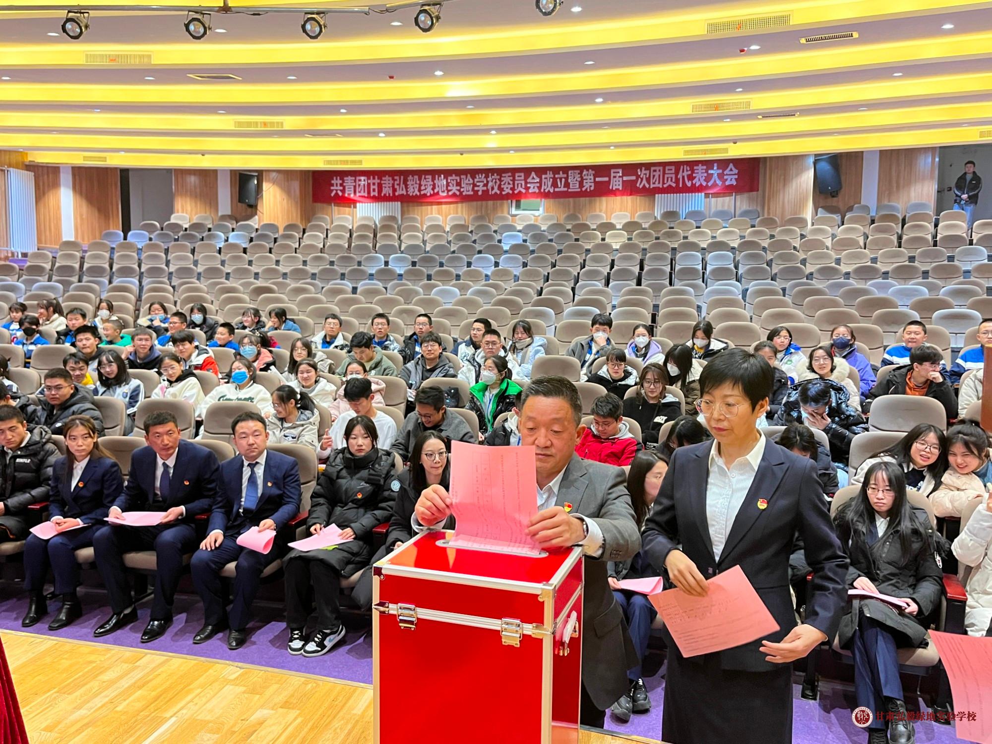 1677288696521024952.jpg 王2.jpg