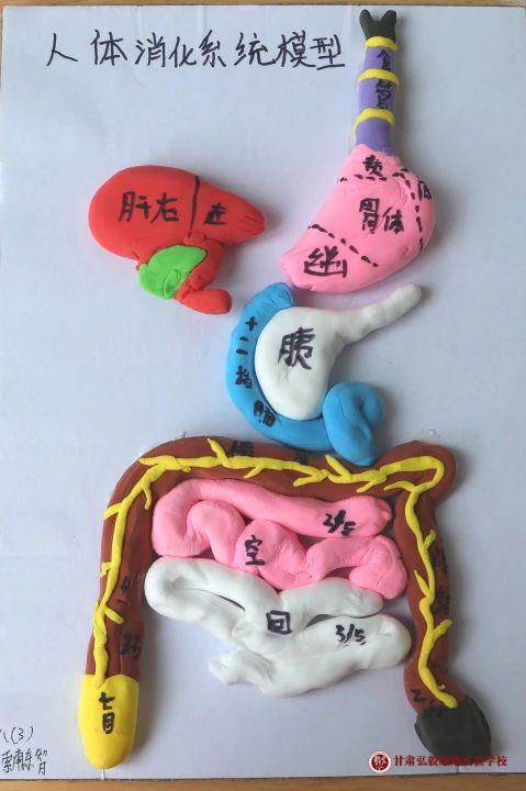1748589794805002690.jpg 微信图片_20250530151915.jpg
